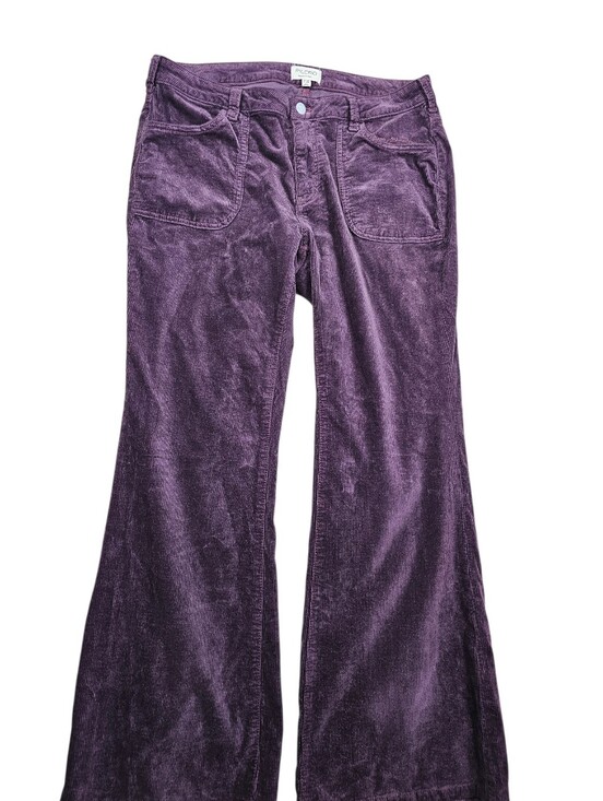 Pilcro Pants - PILCRO Anthropologie High Rise Flared Corduroy Jeans In 16W